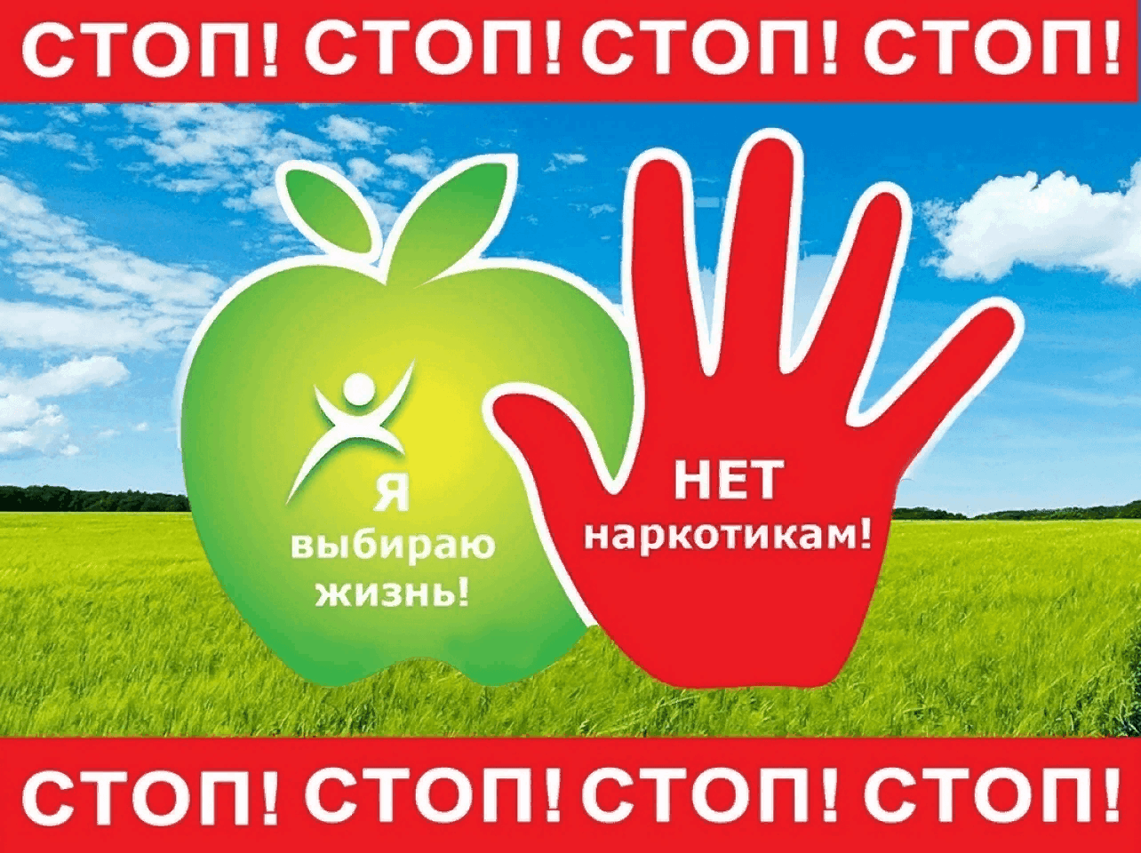 СТОП!.